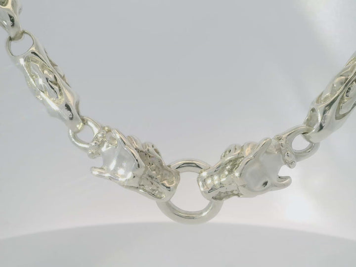 Elegant Silver Necklace.