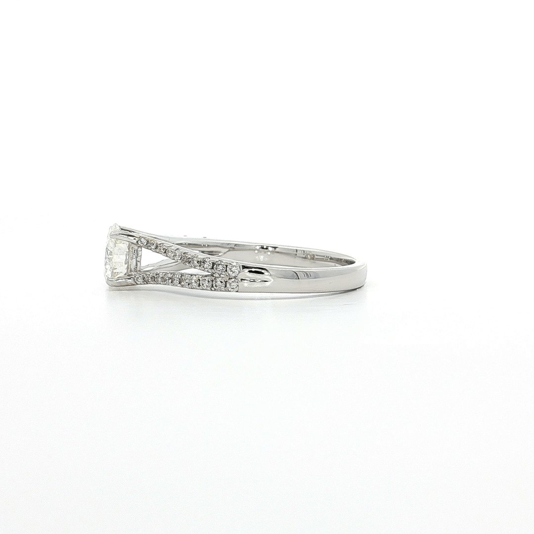 1.00 CTW Natural Round Brilliant Cut Diamond Split-Shank Pavé Engagement Ring in 18kt White Gold