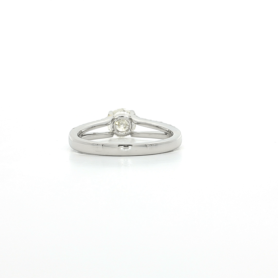 1.00 CTW Natural Round Brilliant Cut Diamond Split-Shank Pavé Engagement Ring in 18kt White Gold