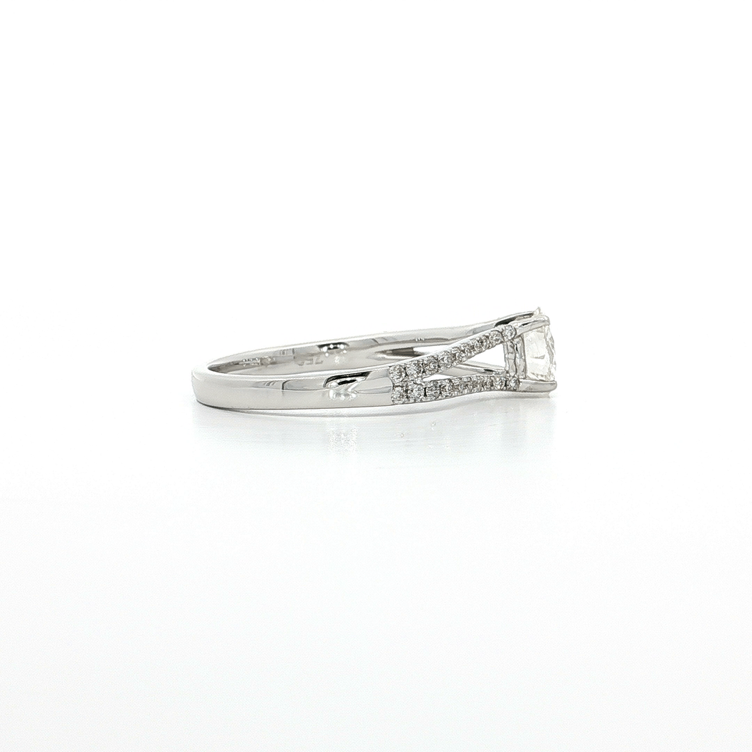 1.00 CTW Natural Round Brilliant Cut Diamond Split-Shank Pavé Engagement Ring in 18kt White Gold