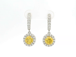 Yellow & White CZ Halo Dangle Earrings in Sterling Silver